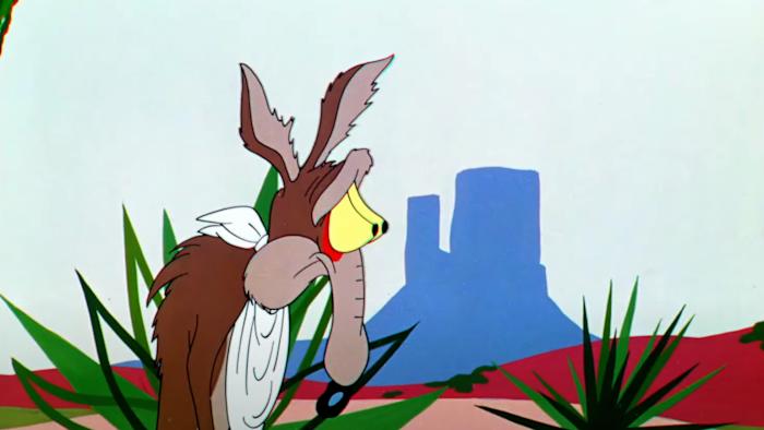 Wile E. Coyote looking sadly off-screen.