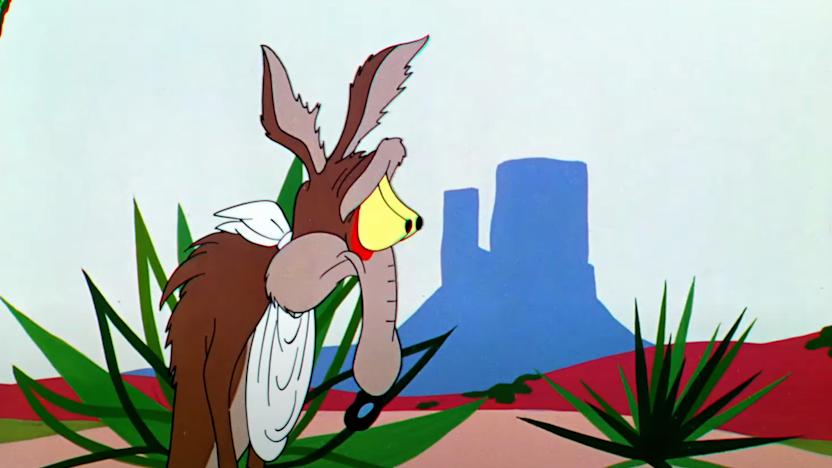 Wile E. Coyote looking sadly off-screen.