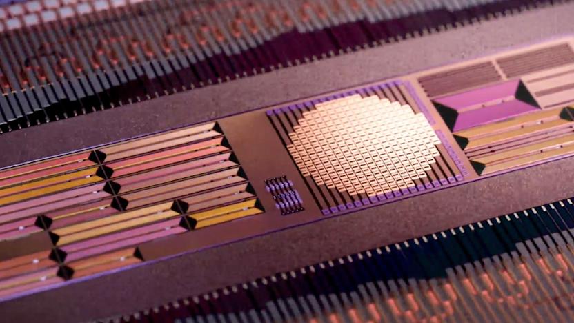 The components of a chip.