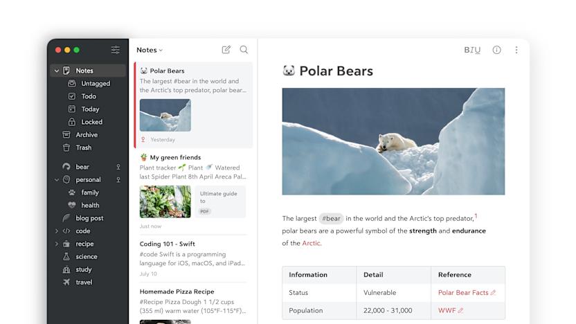 Bear
